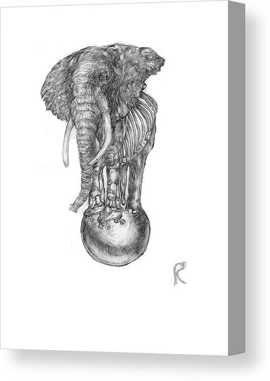 Its A Balancing Act - Canvas Print