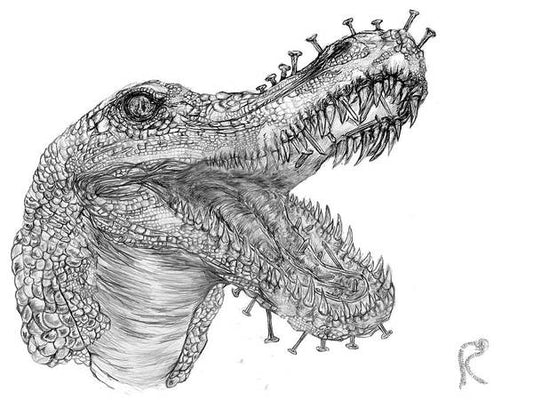 Crocodile Tears - Art Print