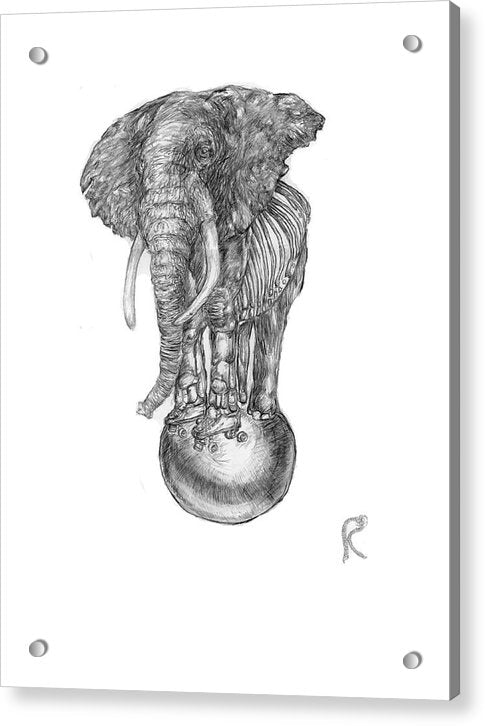 Its A Balancing Act - Acrylic Print