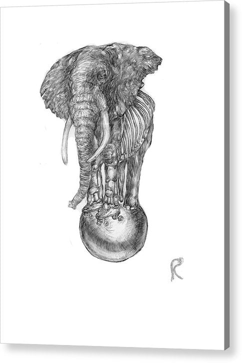 Its A Balancing Act - Acrylic Print